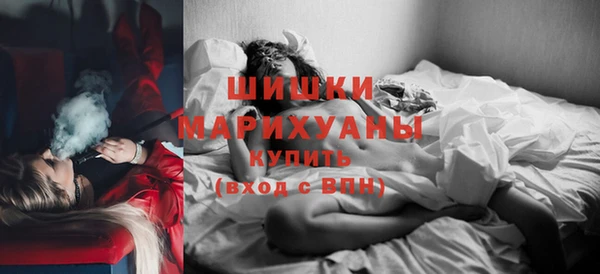 молекула духа Козловка