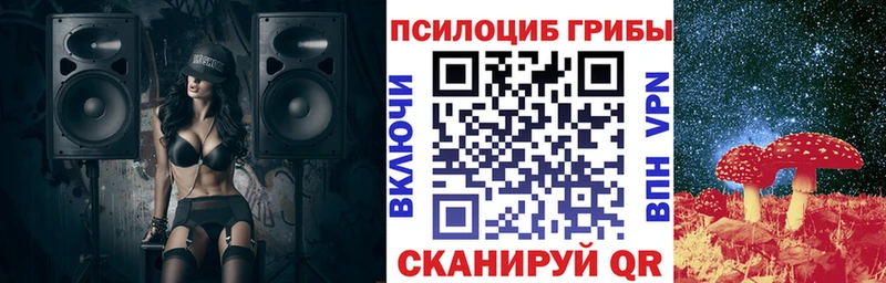OMG ссылка  Гремячинск  Галлюциногенные грибы Cubensis 